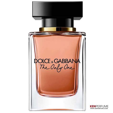 nuovo the one dolce gabbana